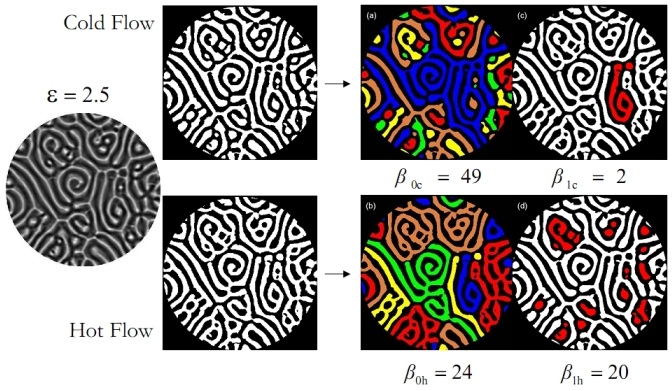 Computational homology provides a quick way to characterize complex patterns.