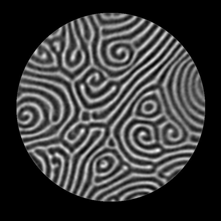 Spiral defect chaos in Rayleigh-Bénard Convection