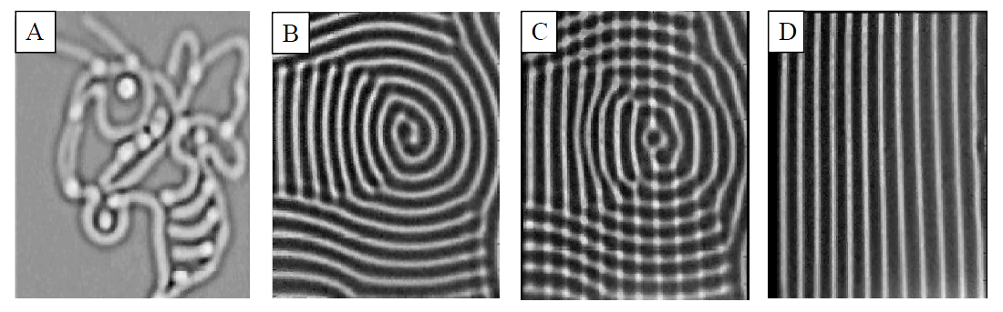 Optical actuation of Rayleigh-Bénard convection